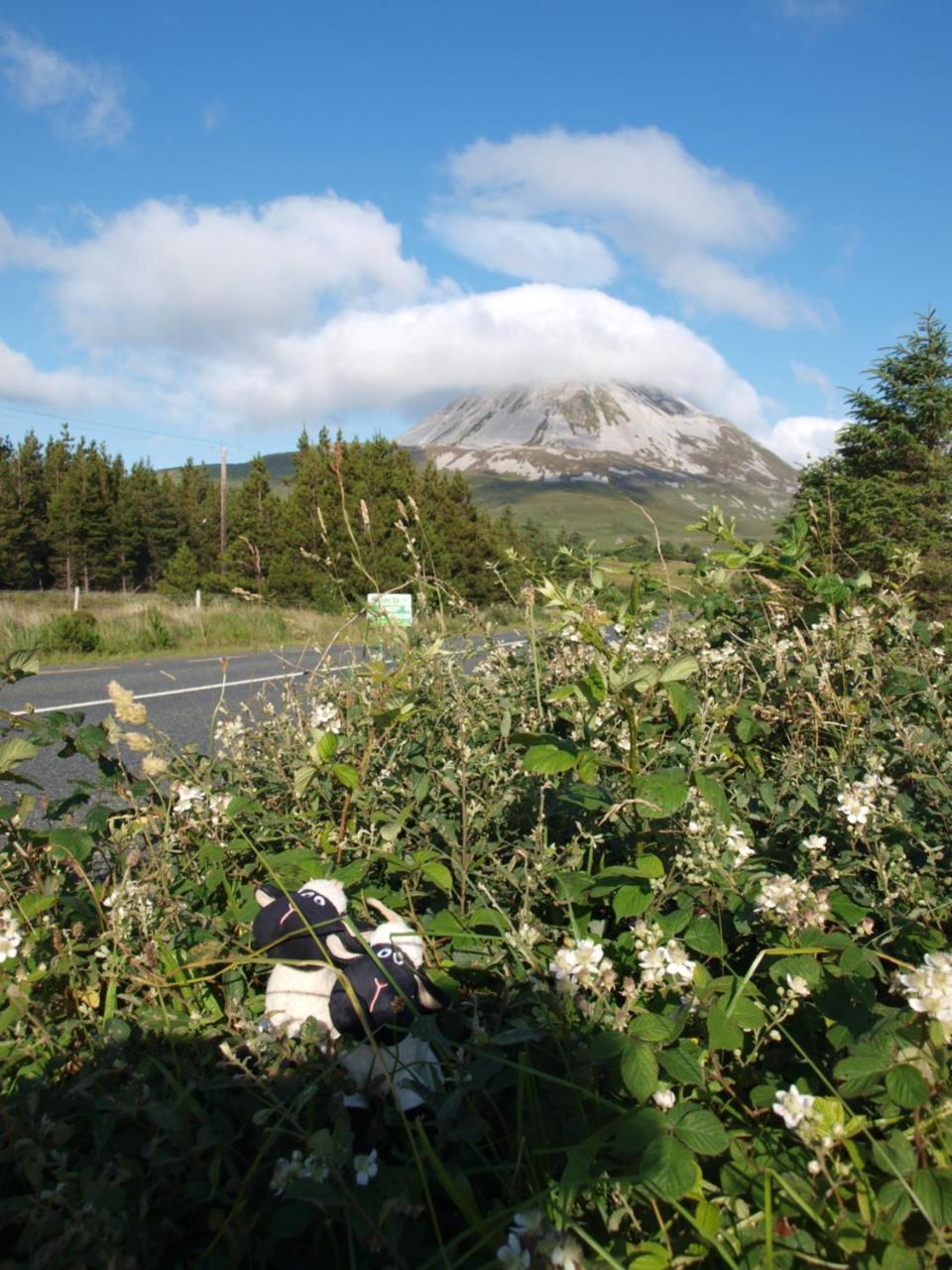 The Lookout Ardara Hotell Eksteriør bilde